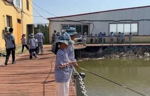 活动日历